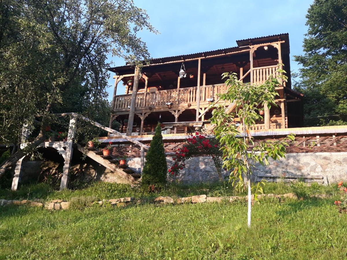 Pensiunea La Gorgan Vadu Izei Extérieur photo