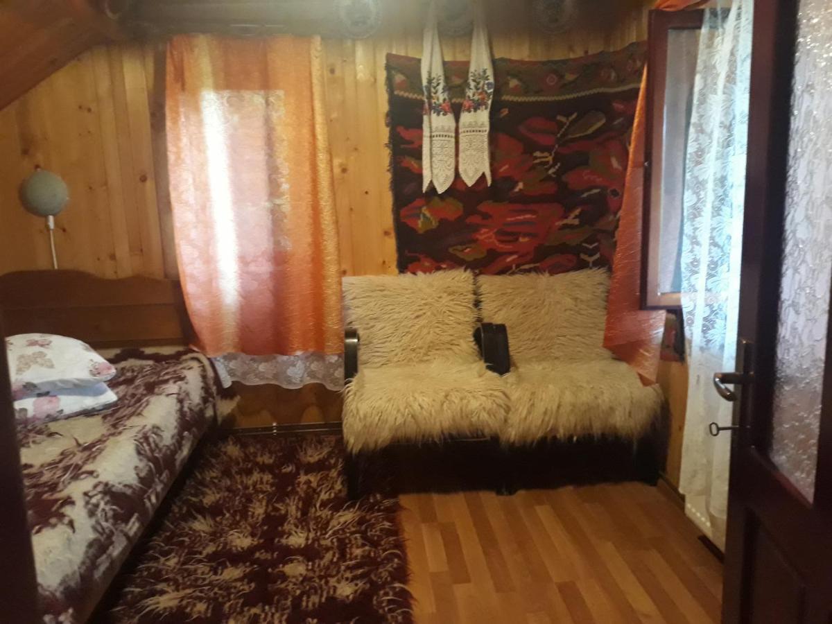 Pensiunea La Gorgan Vadu Izei Extérieur photo