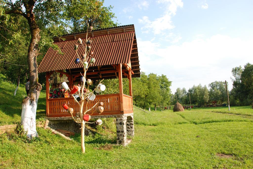 Pensiunea La Gorgan Vadu Izei Extérieur photo