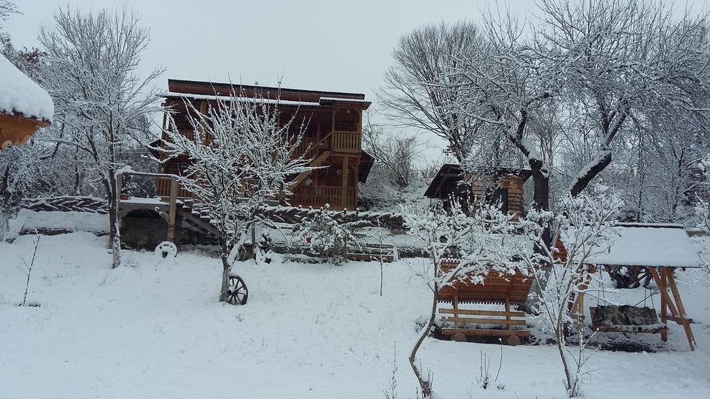 Pensiunea La Gorgan Vadu Izei Extérieur photo